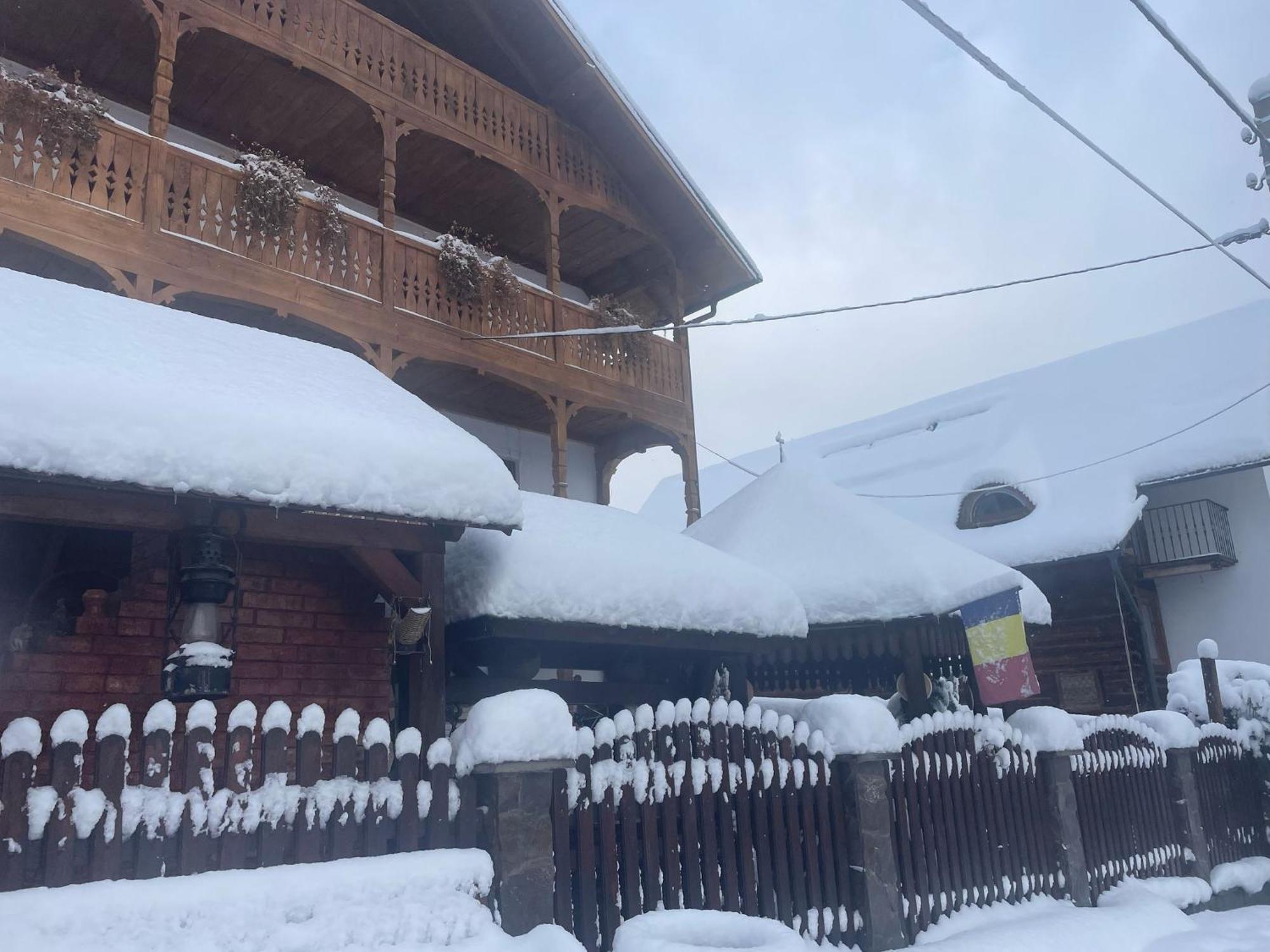 Casa Ionela Petreus Hotel Poienile Izei Luaran gambar