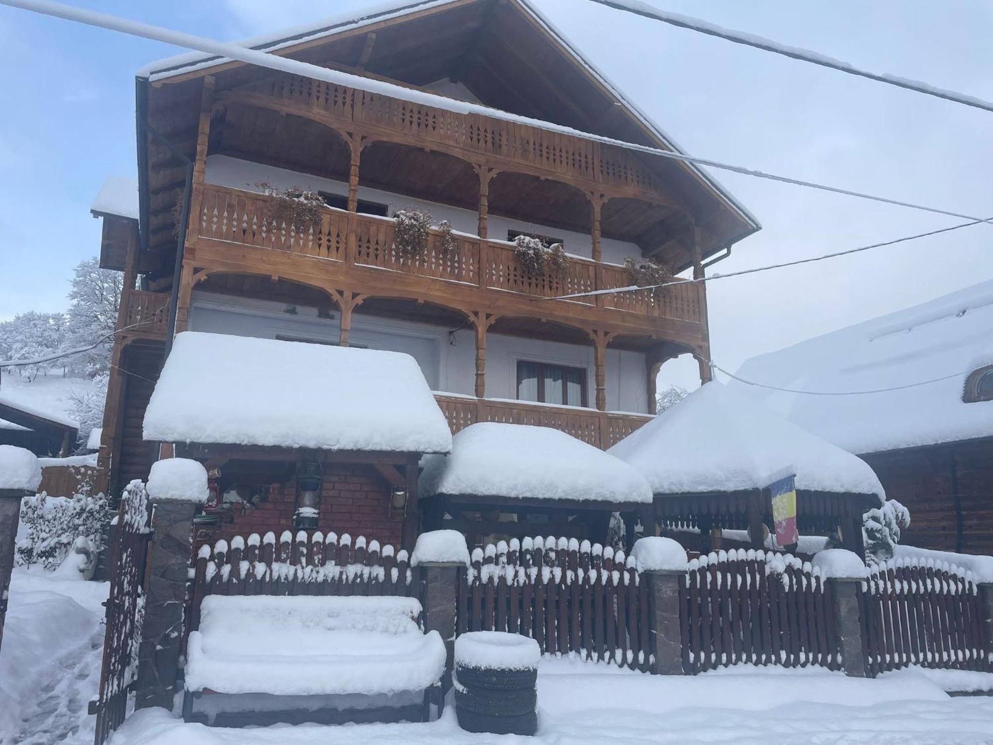 Casa Ionela Petreus Hotel Poienile Izei Luaran gambar