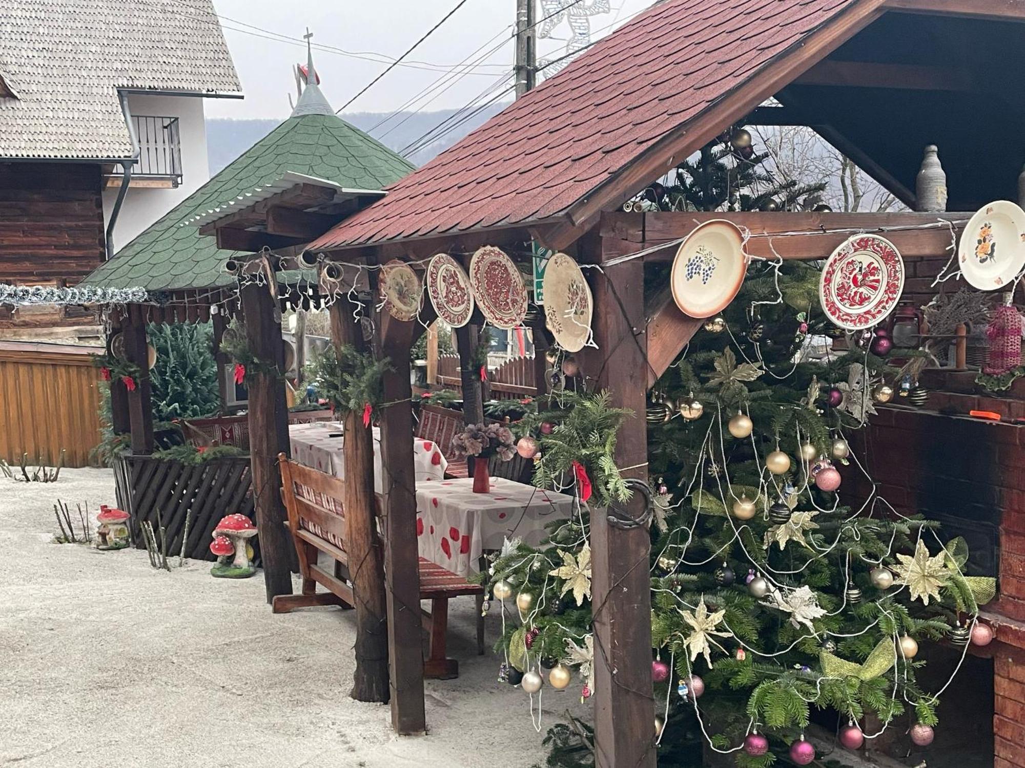 Casa Ionela Petreus Hotel Poienile Izei Luaran gambar