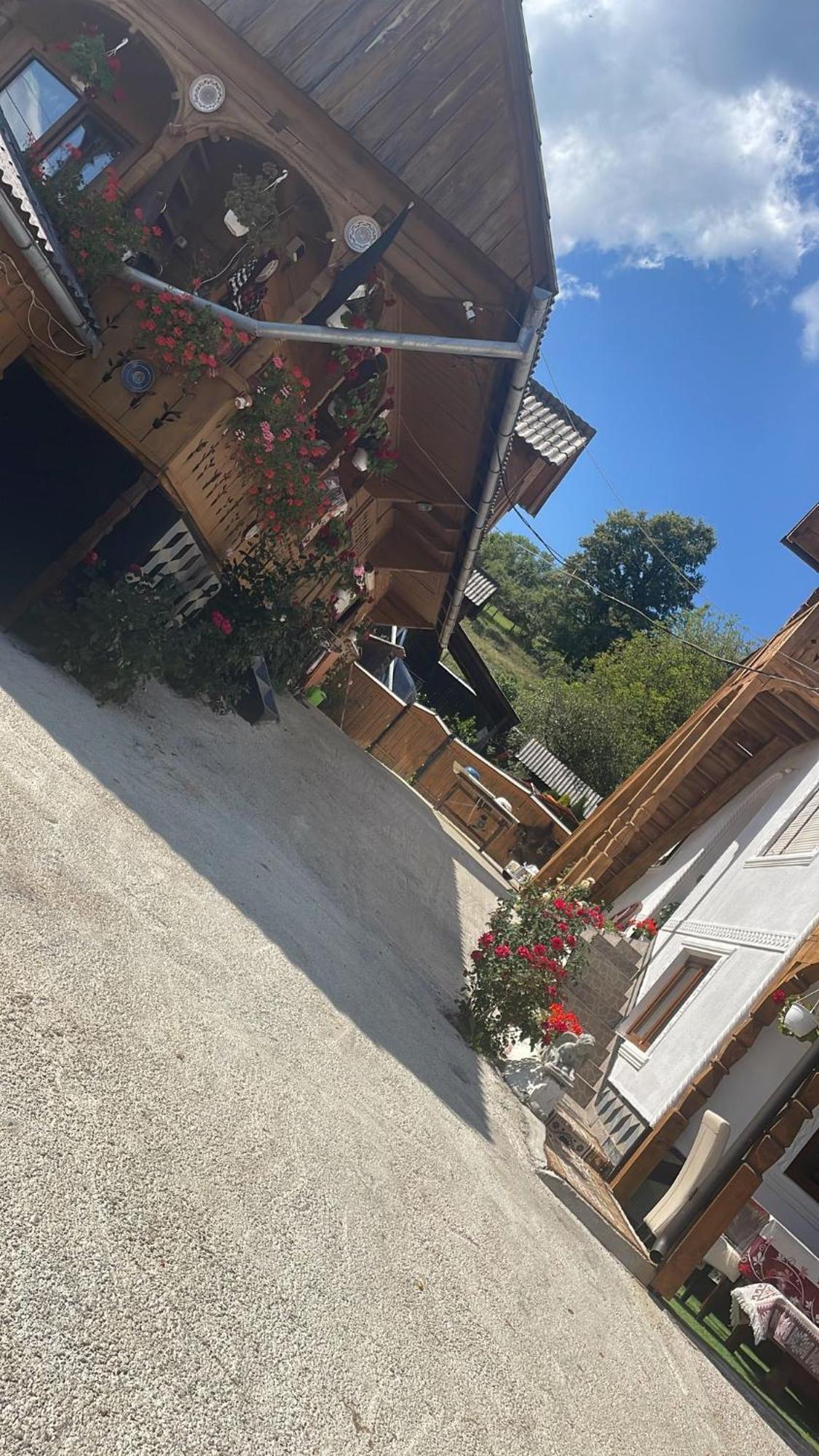 Casa Ionela Petreus Hotel Poienile Izei Luaran gambar