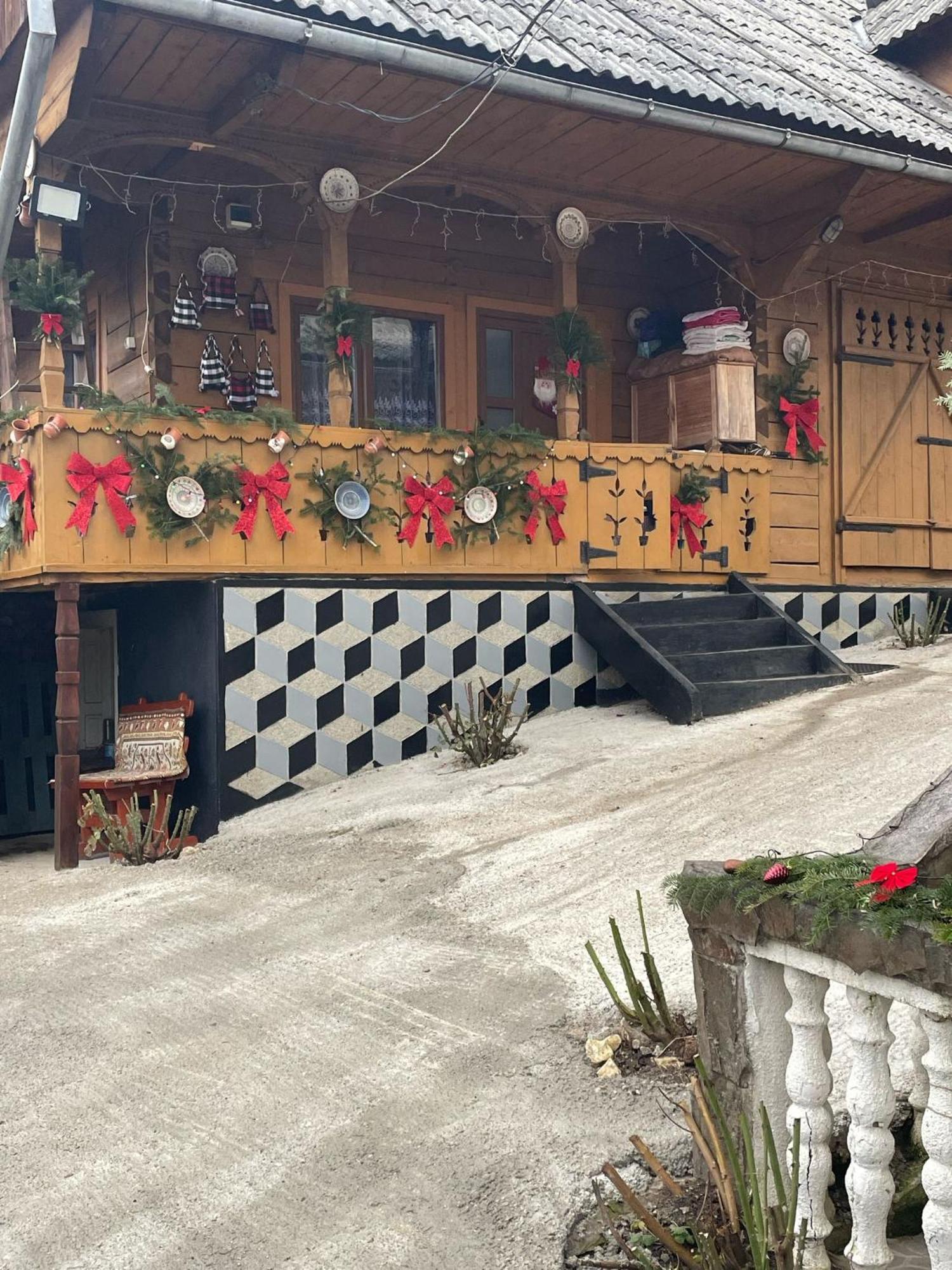 Casa Ionela Petreus Hotel Poienile Izei Luaran gambar