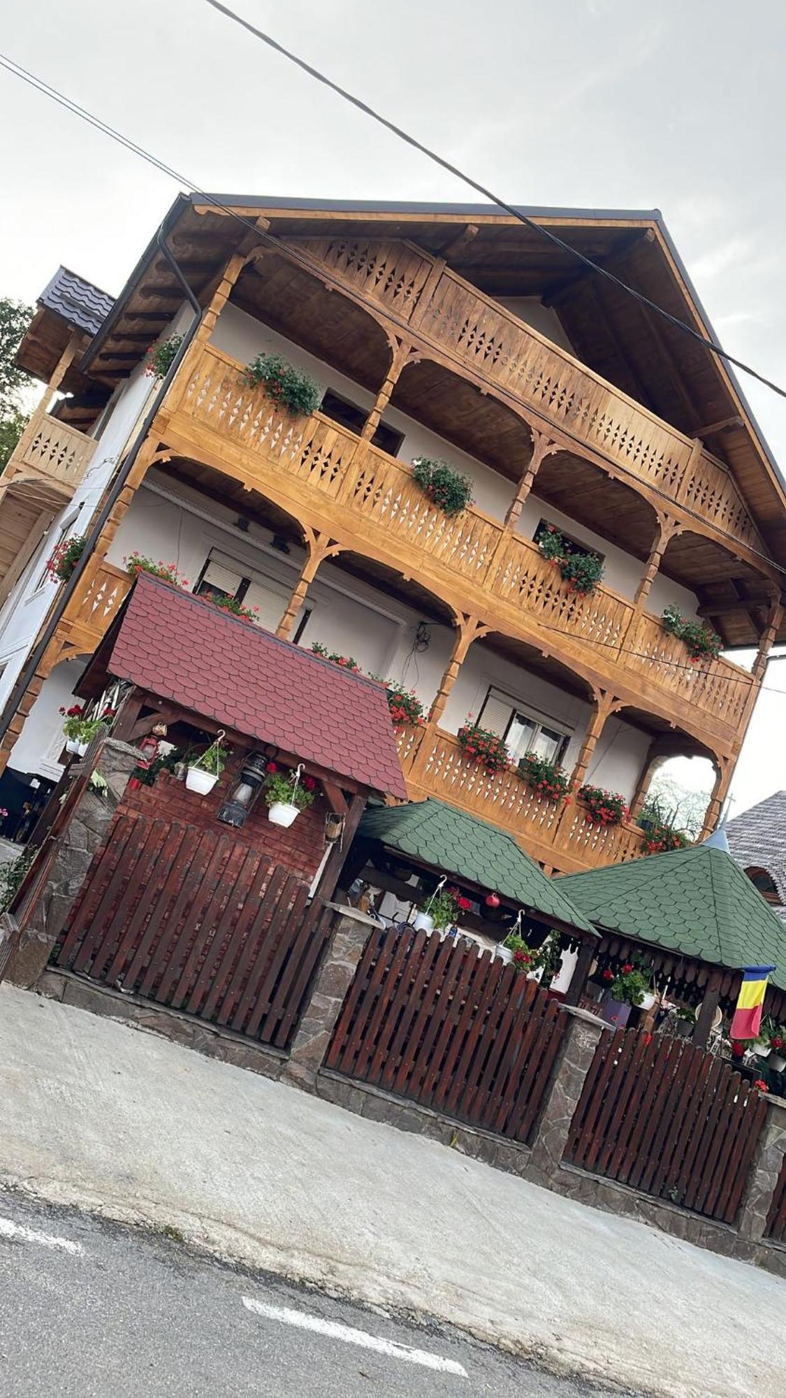 Casa Ionela Petreus Hotel Poienile Izei Luaran gambar