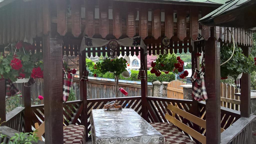 Casa Ionela Petreus Hotel Poienile Izei Luaran gambar