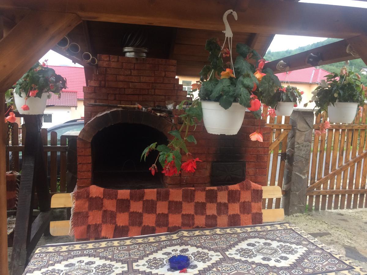 Casa Ionela Petreus Hotel Poienile Izei Luaran gambar
